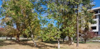 Primăria Alexandria a predat amplasamentul pentru construirea unei noi creșe în zona Peco