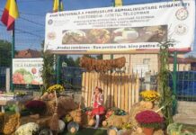 Senator Dănuț Cristescu: “Produsele tradiționale românești specifice Teleormanului sunt pregătite să cucerească orice piață din țară și din Europa”