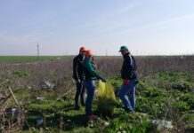 Amplă campanie de ecologizare la Drăgănești Vlașca