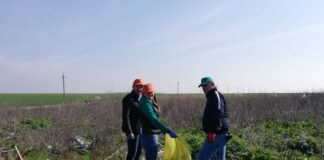 Amplă campanie de ecologizare la Drăgănești Vlașca