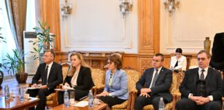 Eugen Pîrvulescu: “Am avut onoarea să fac parte din delegația care a reprezentat România la întrevederea cu prim-ministrul Republicii Coreene, domnul Han Duck-soo ”