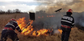 STOP incendiilor de vegetație uscată – Activități de instruire înainte de începerea campaniei de recoltare a cerealelor