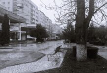 Primarul Victor Drăgușin, prezent în șantierul de la centrul pietonal: „Am ajuns la faza montării pavajului din granit”