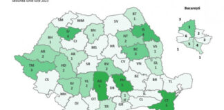 Teleorman – 69,4% rata de promovare la Bacalaureat/ 128 de candidați nici măcar nu s-au prezentat la examen