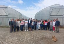 Elevii Liceului Nicolae Bălcescu din Alexandria au vizitat o fermă ecologică din județul Giurgiu