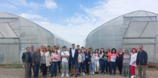 Elevii Liceului Nicolae Bălcescu din Alexandria au vizitat o fermă ecologică din județul Giurgiu