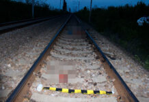 Accident feroviar mortal, la Videle