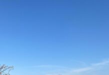 Accident mortal pe DJ701, între Gratia și Poeni