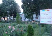 Peste 5.6 milioane de lei pentru dezvoltarea infrastructurii de la Saelele