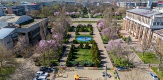 Zimnicea – Autovehicule electrice pentru Direcția Publică de Asistență Socială și Poliția Locală