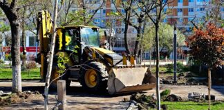 Alexandria/ Se reabilitează Parcul de la Primărie