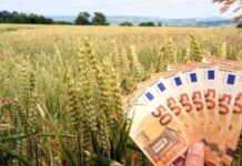 7 iunie termenul limită pentru depunerea cererii de plată în Campania 2024