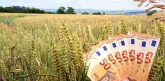 7 iunie termenul limită pentru depunerea cererii de plată în Campania 2024