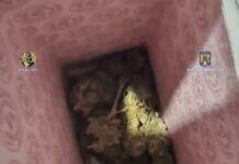 Operațiune de combatere a traficului de droguri în Teleorman: Un bărbat din București a fost reținut