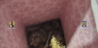 Operațiune de combatere a traficului de droguri în Teleorman: Un bărbat din București a fost reținut