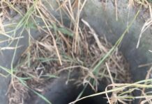 Copil de aproximativ 2 ani, căzut într-un puț de irigare la Peretu, salvat de pompieri