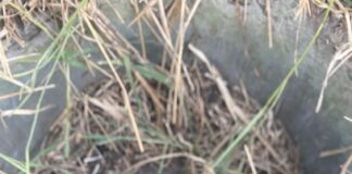 Copil de aproximativ 2 ani, căzut într-un puț de irigare la Peretu, salvat de pompieri