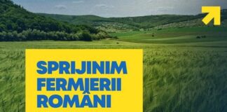 Europarlamentarii Dan Motreanu și Daniel Buda Solicită Fonduri Europene pentru Compensarea Pierderilor Cauzate de Secetă