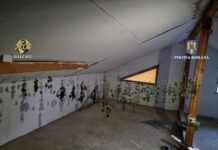 Trei tineri arestați preventiv pentru trafic de droguri