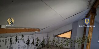 Trei tineri arestați preventiv pentru trafic de droguri