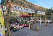 Bucate alese și muzică tradițională la ,,Teleorman Agrofest – Festivalul Rodniciei Teleormănene”