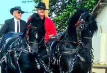 Iulian Badea duce tradiția mai departe – „Botezul cailor” a fost sărbătorit și în acest an la Poroschia