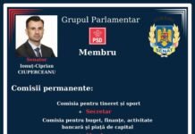 Senatorul PSD Ciprian Ciuperceanu, membru în trei comisii ale Senatului