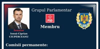 Senatorul PSD Ciprian Ciuperceanu, membru în trei comisii ale Senatului