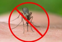 Alexandria – Acțiuni de dezinsecție împotriva țânțarilor și căpușelor