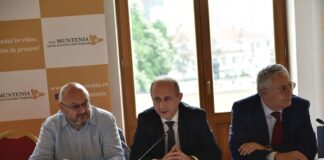 Ședință a Comitetului de Monitorizare a Programului Regional Sud-Muntenia 2021–2027, la Pitești/ Adrian Gâdea: “S-a discutat despre proiectele implementate în regiunea Sud-Muntenia”