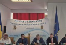 Accesul liber la plajă, apărat prin lege. Senatorul Claudiu Catană susține proiectul „Un litoral pentru toți românii”