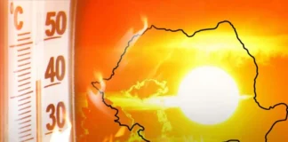 Primăria Alexandria și Crucea Roșie instituie puncte de prim-ajutor și hidratare în mai multe zone din Alexandria