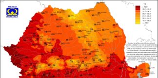 Teleorman sub val de căldură extremă! Temperaturile resimțite au depășit pragul critic!