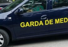 Bilanț semestrial al Gărzii de Mediu Teleorman: Peste 400 de controale și amenzi de peste un milion de lei