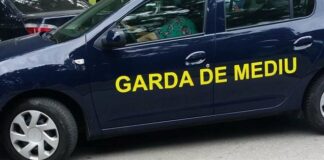 Bilanț semestrial al Gărzii de Mediu Teleorman: Peste 400 de controale și amenzi de peste un milion de lei