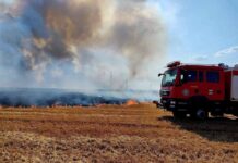 Zile de ”foc” pentru pompieri – 30 de incendii de vegetație uscată în ultimele 3 zile