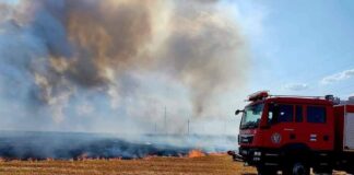 Zile de ”foc” pentru pompieri – 30 de incendii de vegetație uscată în ultimele 3 zile