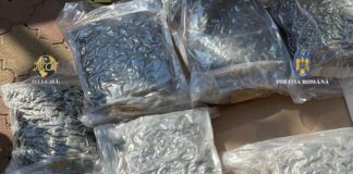 Captura record de droguri: 53 de kilograme de canabis, ascunse în canapele și trimise din Spania în România. Un bărbat, arestat preventiv