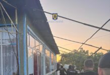 Doi bărbați reținuți după o tentativă de furt și distrugeri în culturile agricole din Teleorman