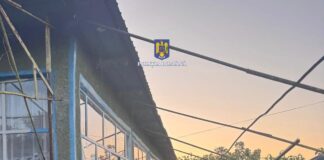 Doi bărbați reținuți după o tentativă de furt și distrugeri în culturile agricole din Teleorman