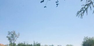 Adrian Gâdea: Teleorman, în top 10 județe din România la investiții majore aflate în licitație