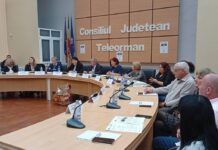 Adrian Gâdea: „Drumul DJ 503 nu este doar o legătură între localități, ci un motor real de dezvoltare pentru întreaga zonă”