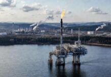 Mădălin Borș: Un pas spre relansarea industriei românești: inițiativă legislativă pentru valorificarea gazului natural