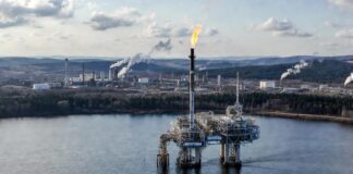 Mădălin Borș: Un pas spre relansarea industriei românești: inițiativă legislativă pentru valorificarea gazului natural