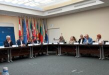 Adrian Gâdea cere descentralizarea fondurilor europene: „Decizia trebuie să fie mai aproape de comunități”